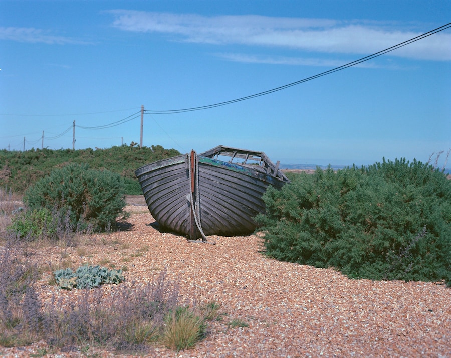 Save Derek Jarman’s house 4 8
