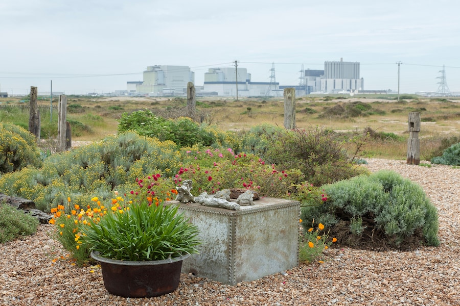 Save Derek Jarman’s house 7 4