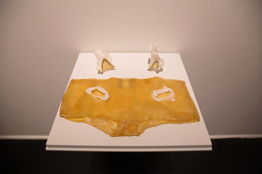 Chun-Shan (Sandie) Yi: Re-Fuse Skin Set, 2011 2