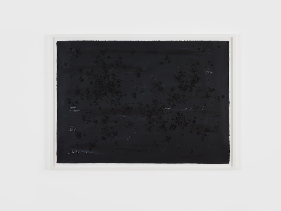 Bethany Collins. “Too White To Be Black” (2014) 16