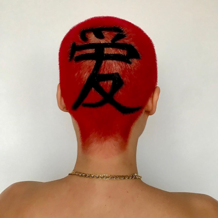 Janina zais buzzcut hair colour dye 16