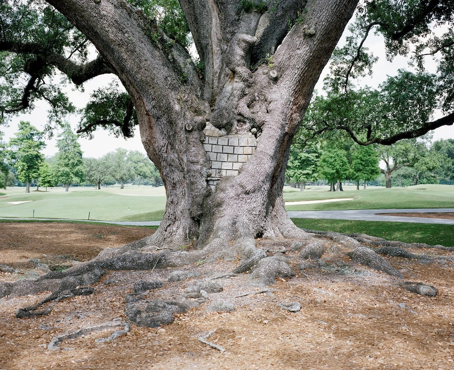 Akasha Rabut. Death Magick Abundance (2020) 10