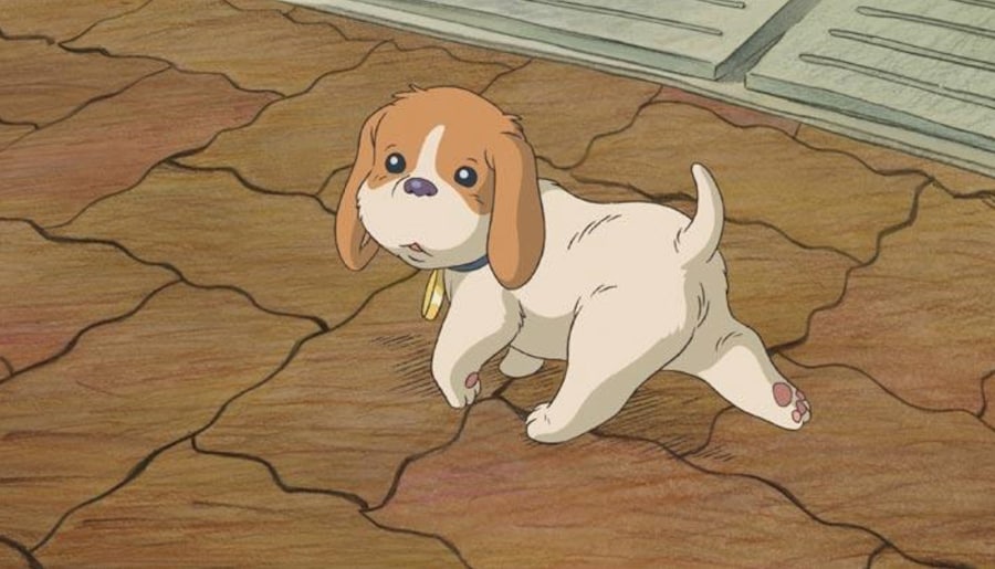 Koro’s Big Day Out (2001) 2