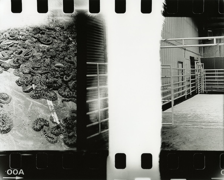 kingsley_ifill_dazed_IMAGE 19