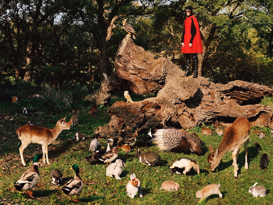 Gucci Pre-Fall 2020 campaign Alessandro Michele 8