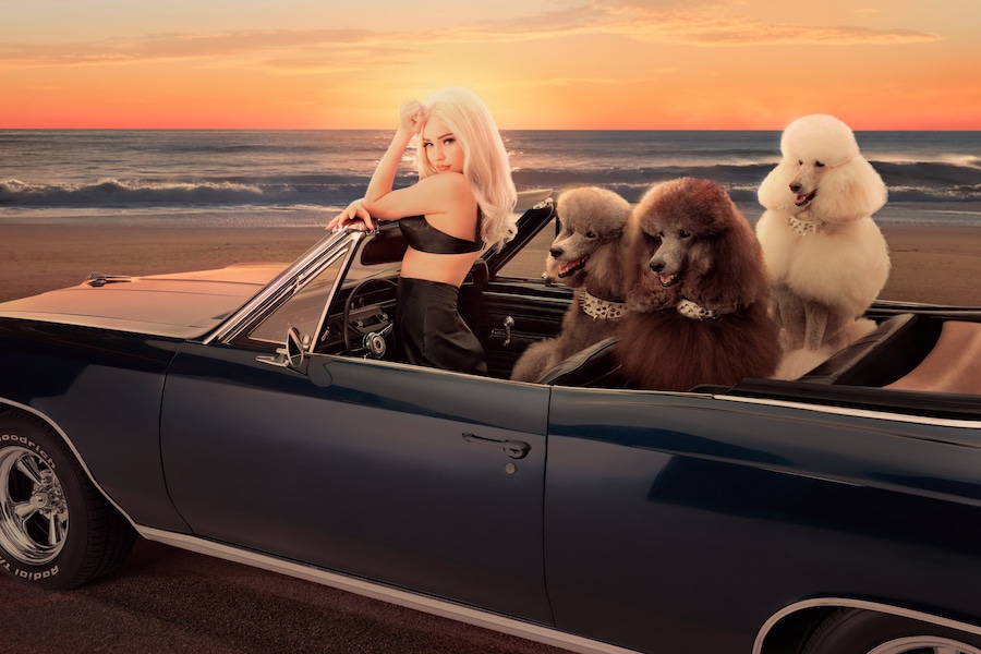 Kim Petras - 2020