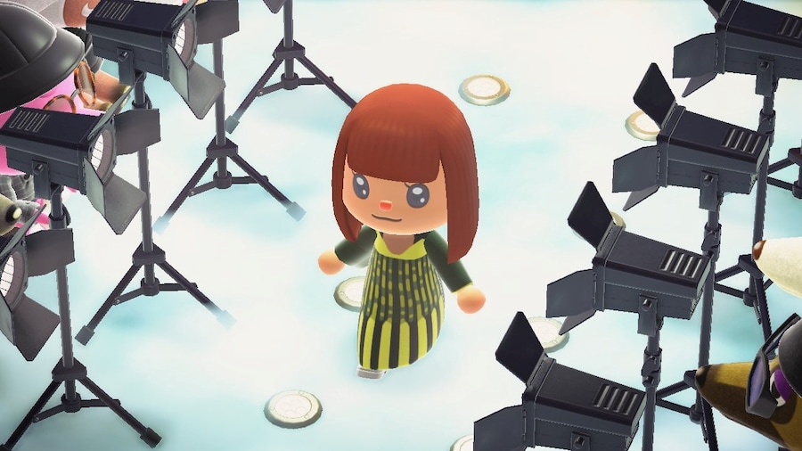 Animal Crossing runway 1 1