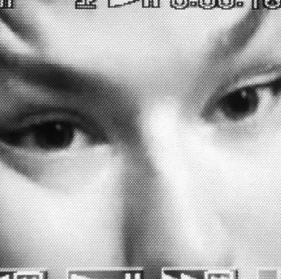 Chus &amp; Greg’s Quaranteen 5