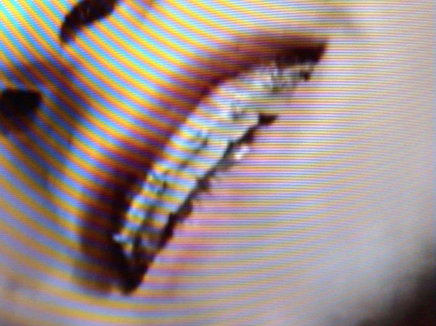 Chus &amp; Greg’s Quaranteen 43