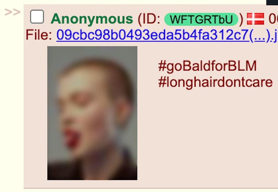 4chan #baldforblm hoax