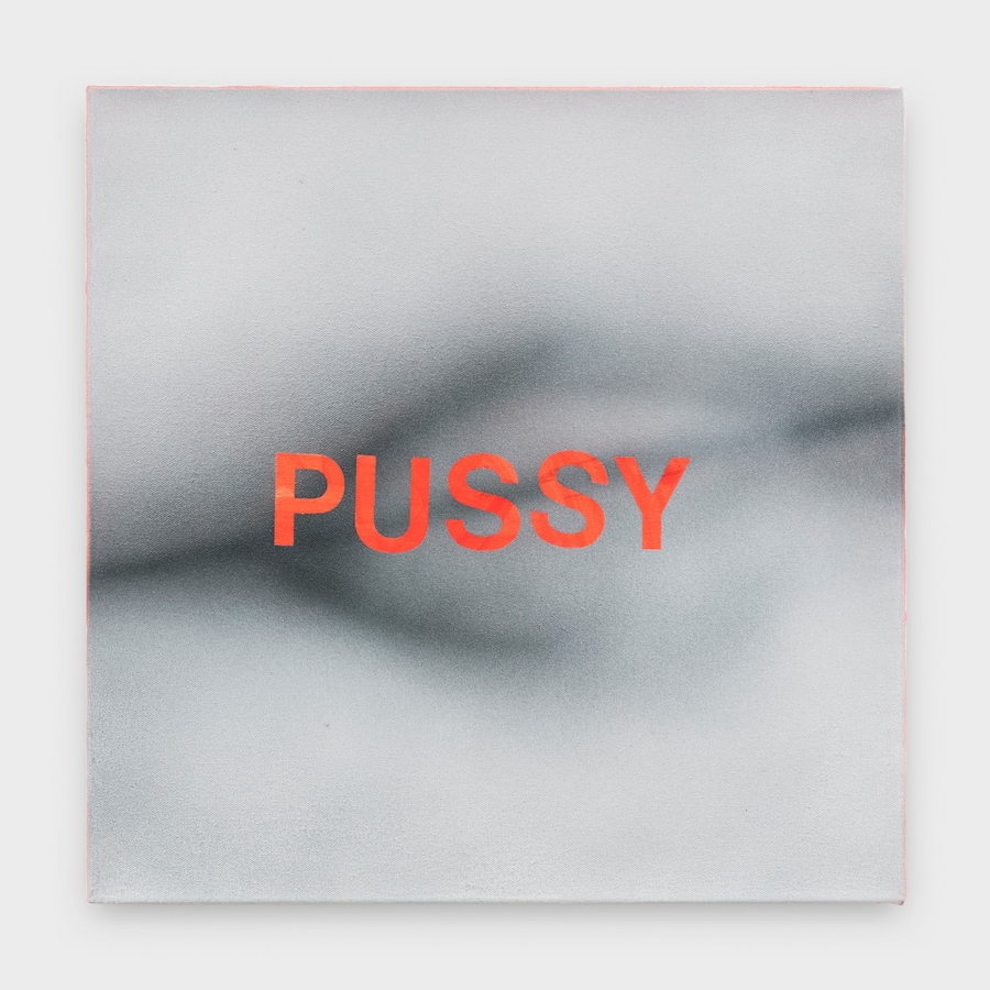 Betty Tompkins_Pussy #5 1