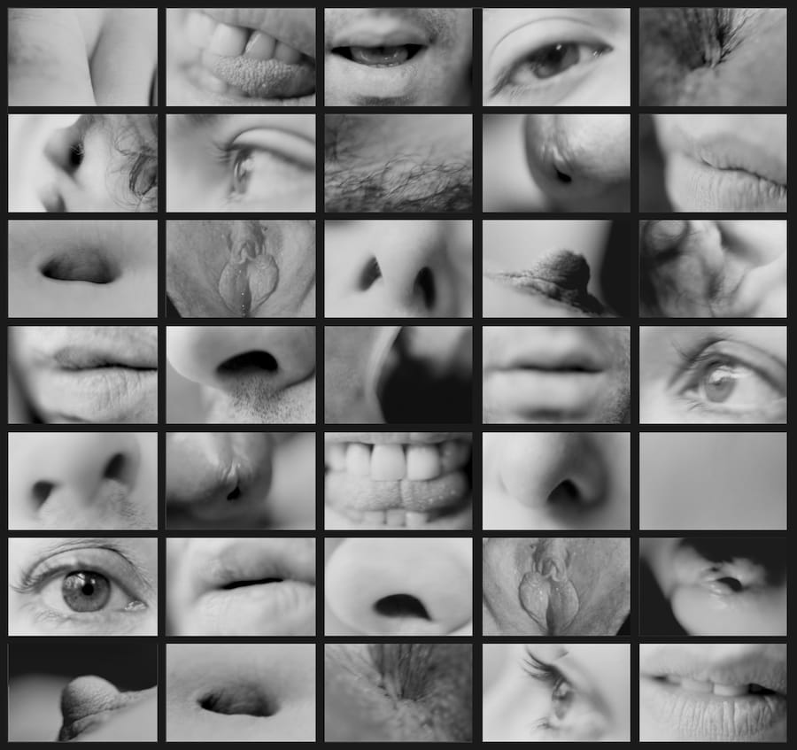 Carolee Schneemann_Portrait Partials 2