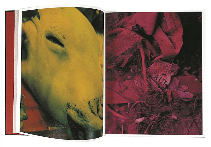 Momo Okabe, Irmatar 0