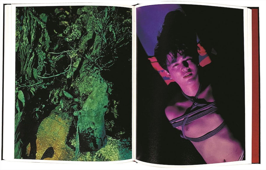 Momo Okabe, Irmatar 5