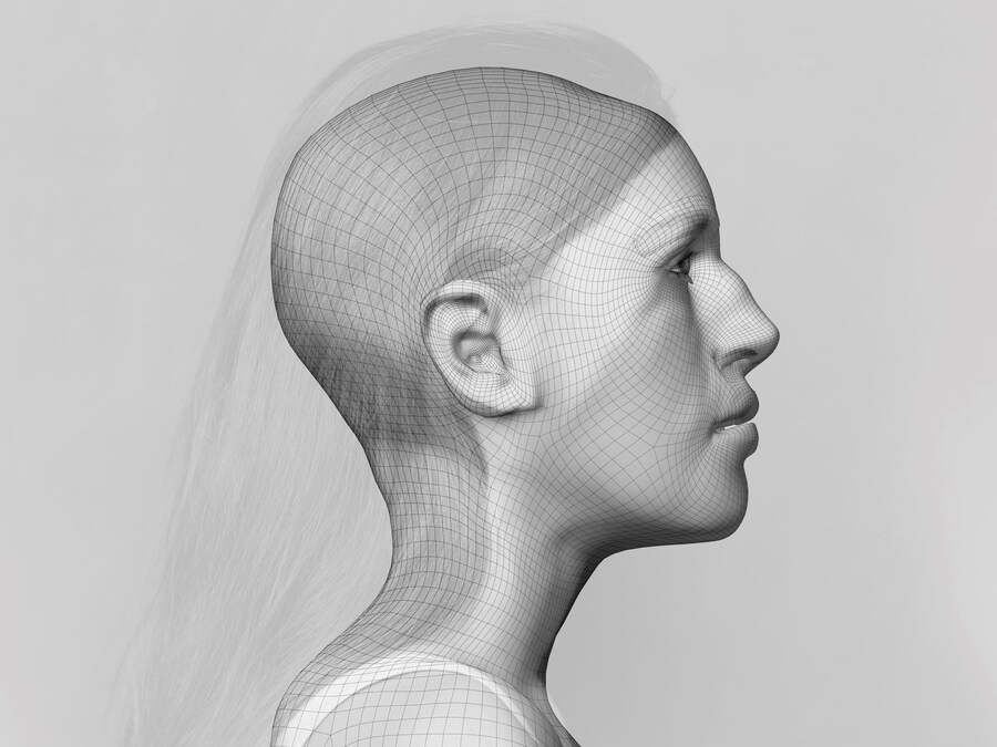 from the series The Y C Alba Zari, courtesy of the 6