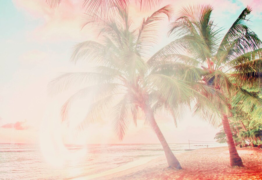 Foam Talent | Digital 1 0