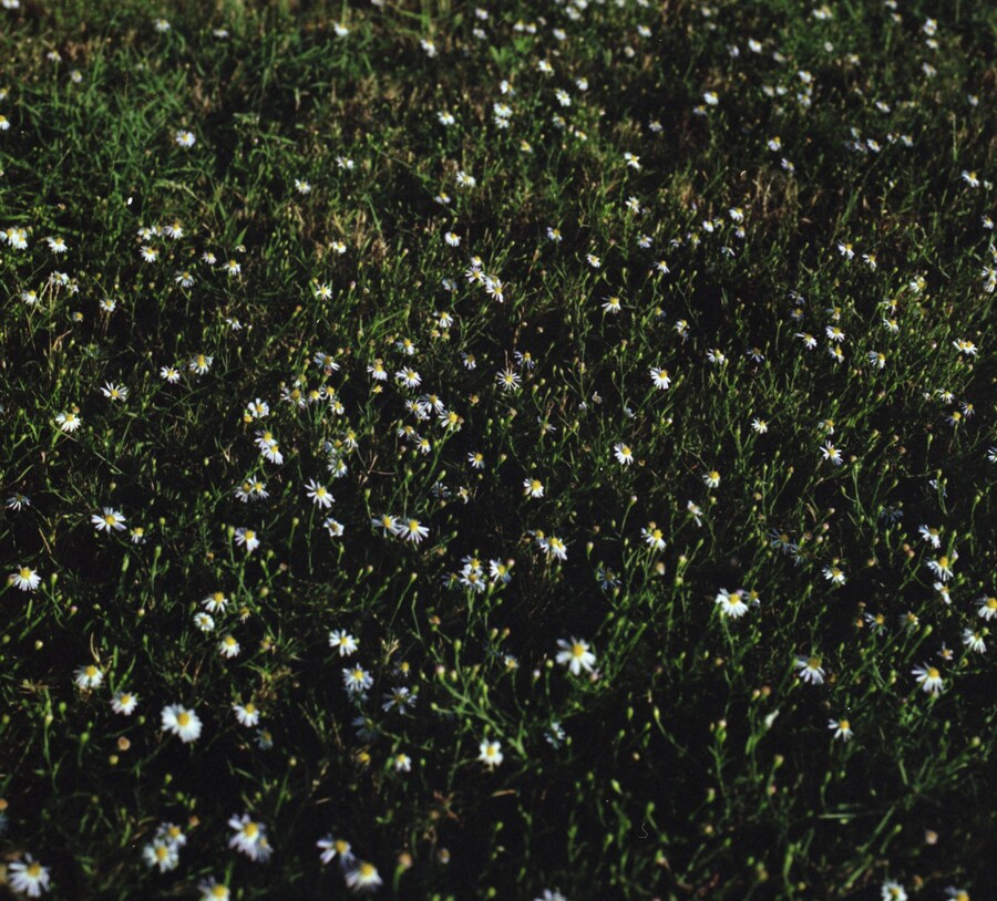 Miranda Barnes CK One 1