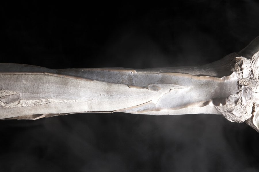 Makoto Azuma artwork for Henrik Vibskov 4