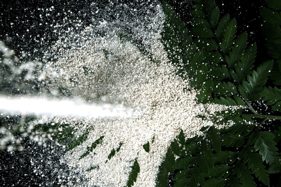 Makoto Azuma artwork for House of Holland 3