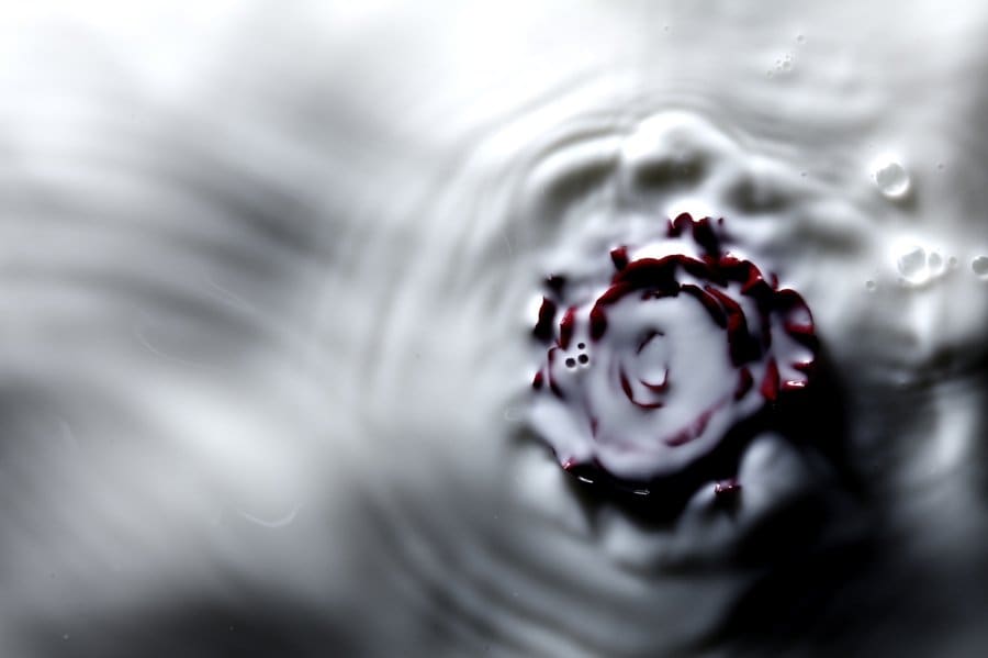 Makoto Azuma artwork for Phillip Lim 2