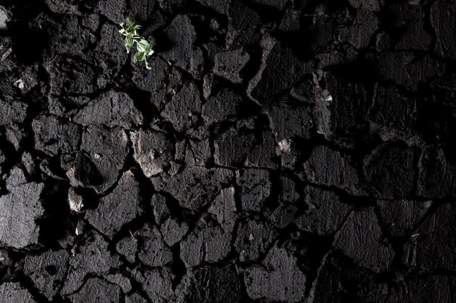 Makoto Azuma artwork for Richard Nicoll 1