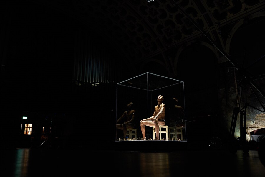 Miles Greenberg, LEPIDOPTEROPHOBIA (2020) 0