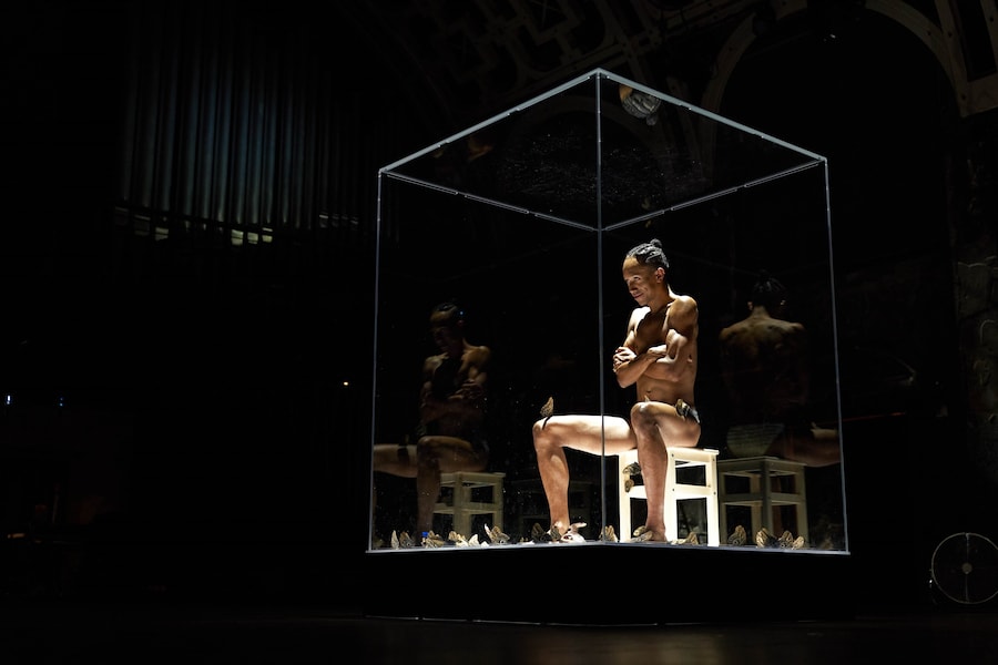 Miles Greenberg, LEPIDOPTEROPHOBIA (2020) 2