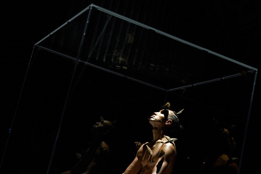 Miles Greenberg, LEPIDOPTEROPHOBIA (2020) 3