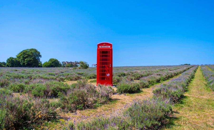“Mayfields”, Telephone Booths (2020-ongoing), Samuel Ryde 3