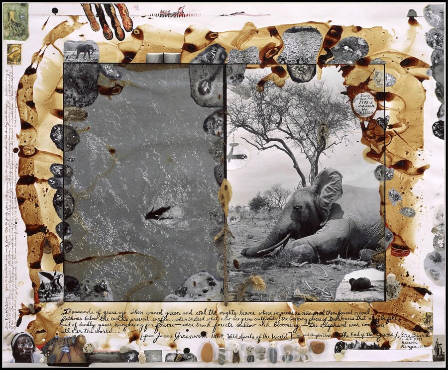 10. Beard, Starvo National Park, 1972-73_2009 11
