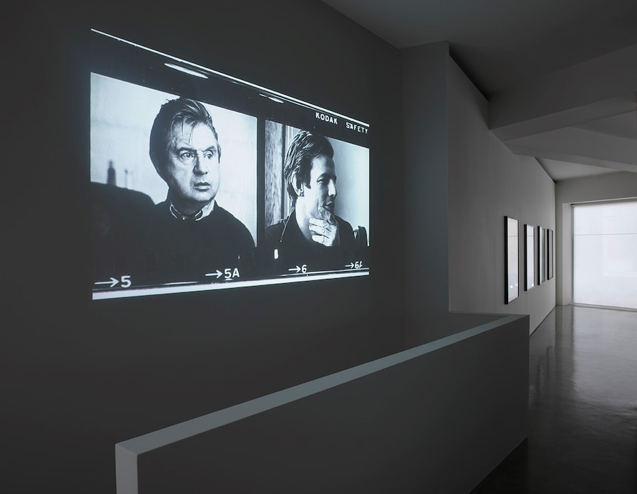 Wild Life: Francis Bacon and Peter Beard 23