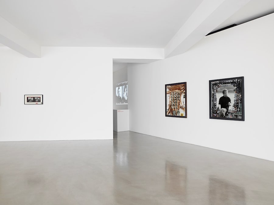 Wild Life: Francis Bacon and Peter Beard 20
