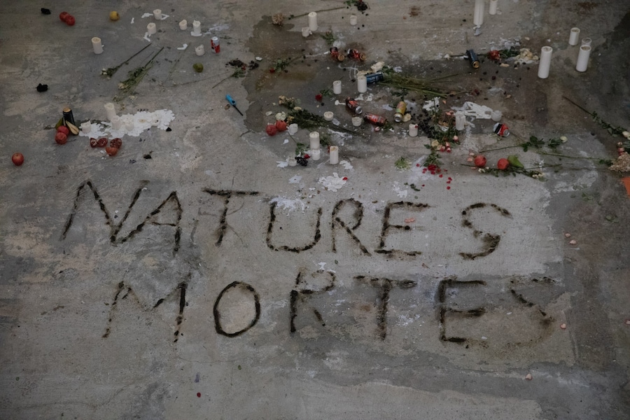 Anne Imhof’s Carte blanche, Natures Mortes, Palais 6