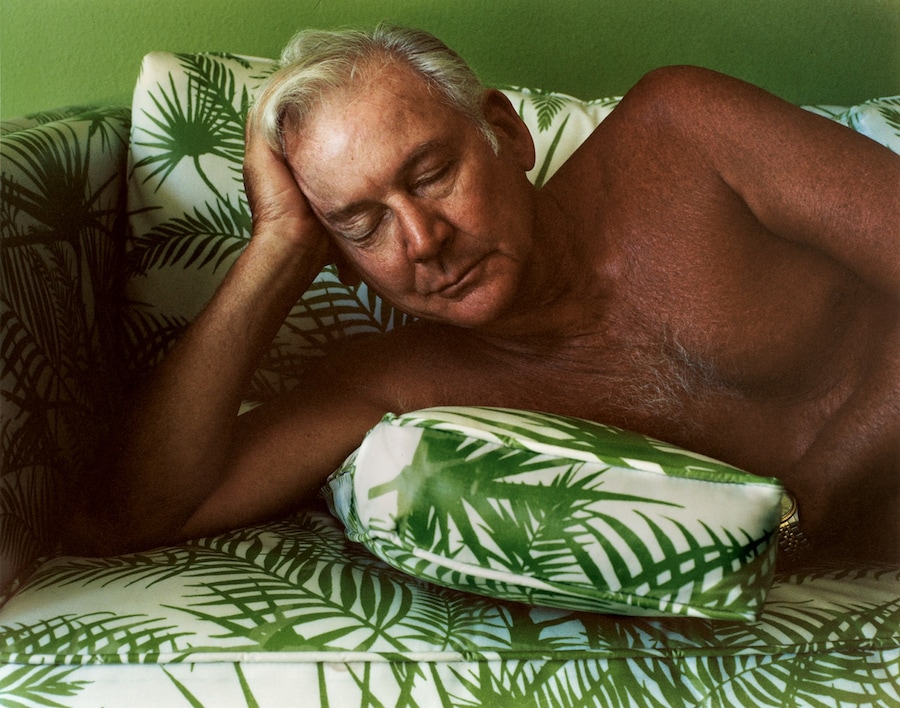 Larry Sultan, Pictures From Home 4