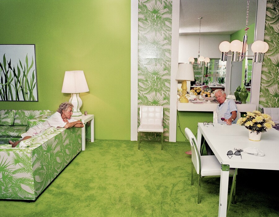 Larry Sultan, Pictures From Home 7