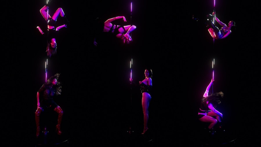 Berlin Strippers Collective 20 17