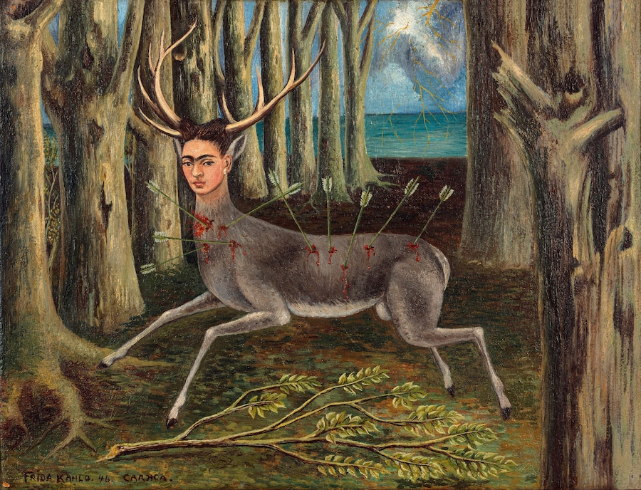 Frida Kahlo: The Complete Paintings 5