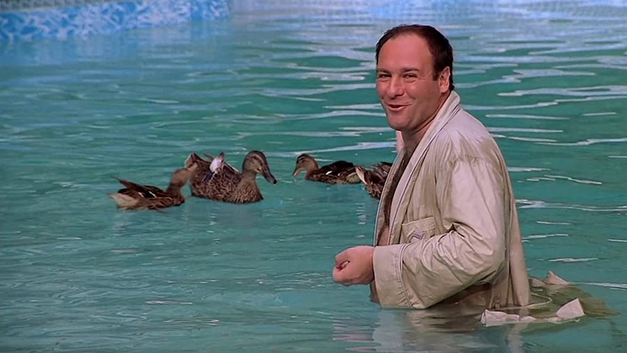 The Sopranos therapy