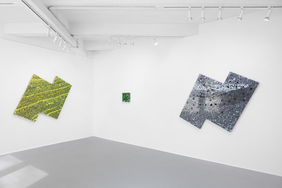 Alteronce Gumby, Charles Moffett install shot 20