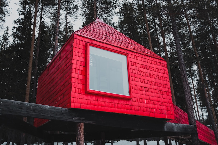 Vivrant Camp 10