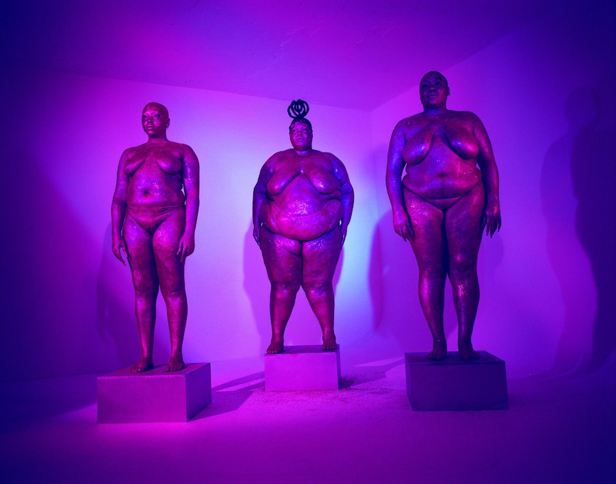 Exhibit social media censorship of fat bodies series 18