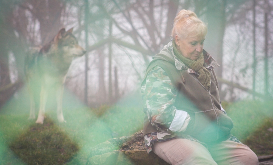 Misha and the Wolves 10