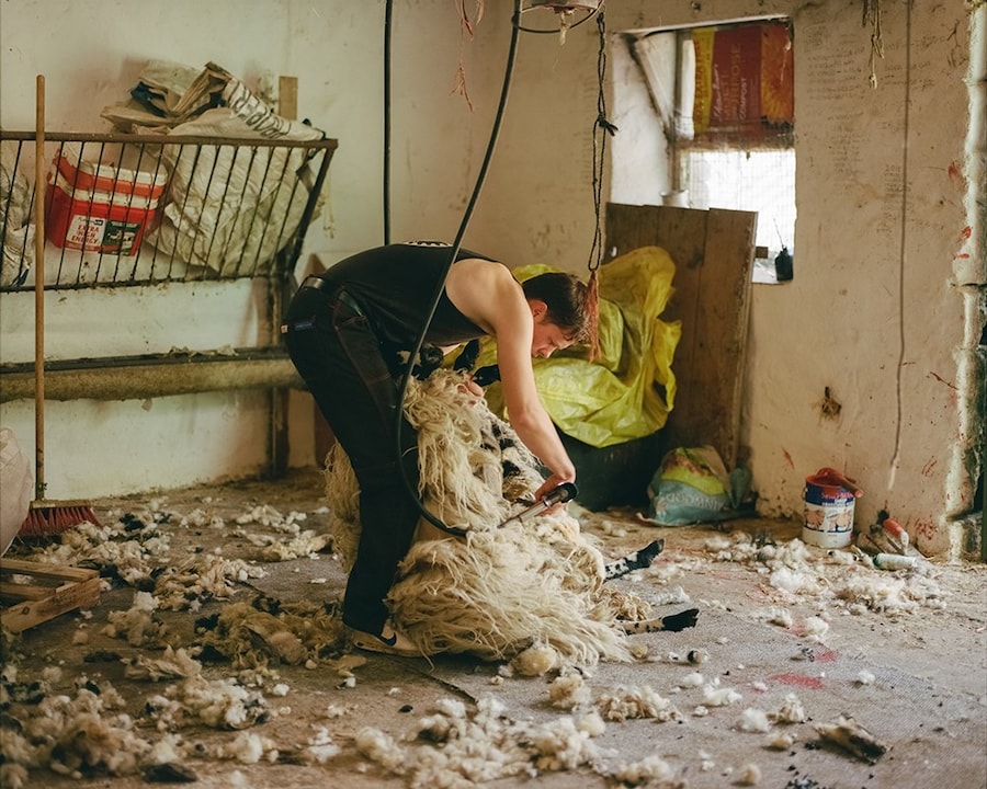 England Your England by Riposte 4 0