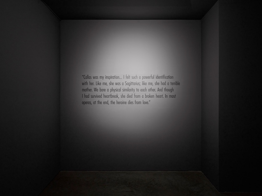 Marina Abramović, Seven Deaths 5