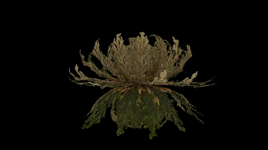 Marina Abramović, Traces (2021) 7