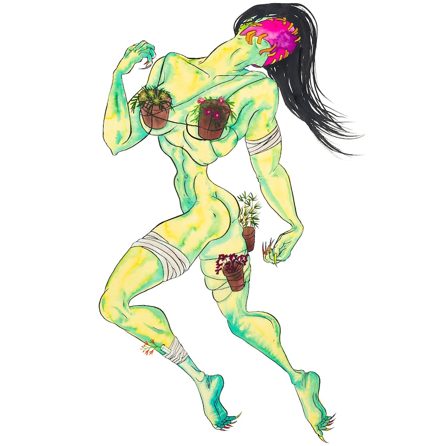 Saelia Aparicio, “Houseplants” 7