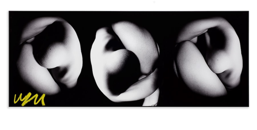 Lea Colombo, Colours of My Body [2021] 12