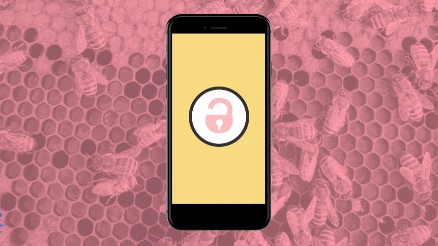 Honeypot: sex worker-led adult site
