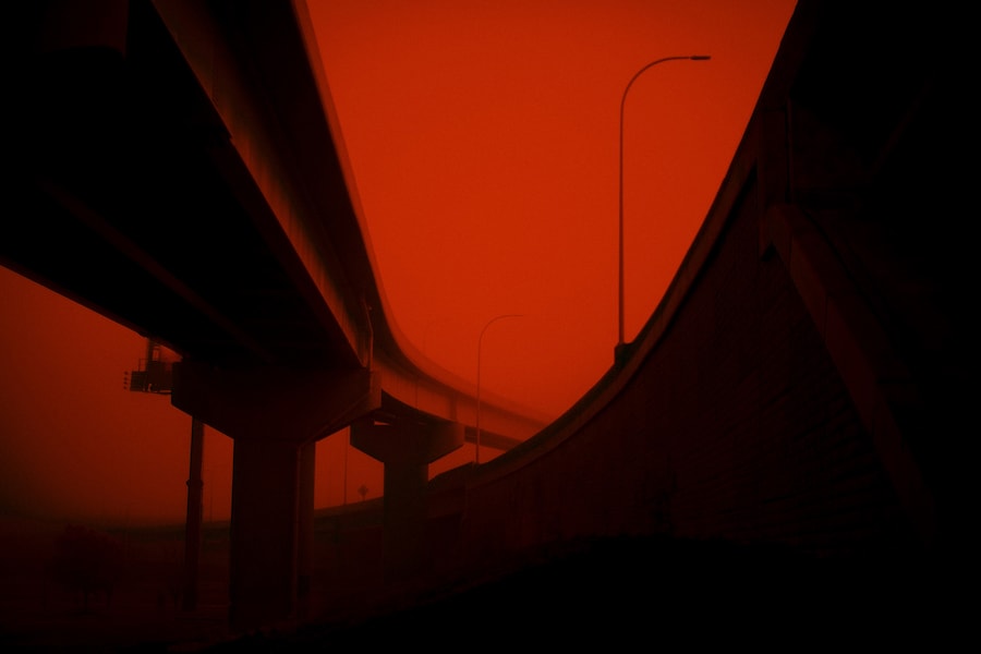 Neil Krug and Jardine Libaire, GoldTwinz [2021] 14