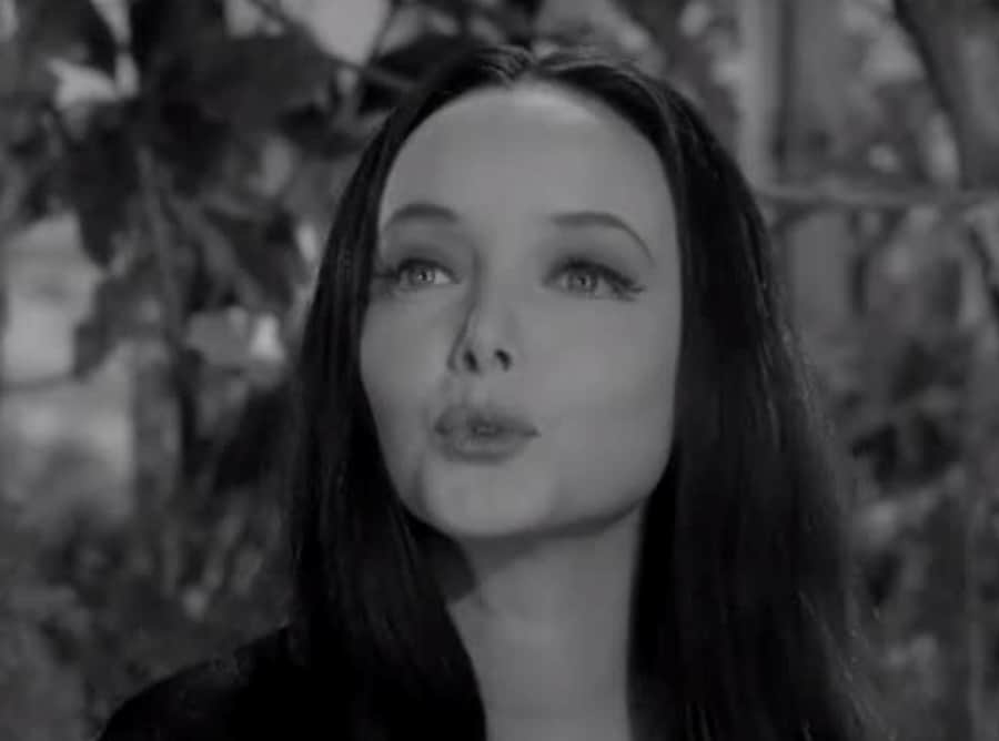 The Addams Family (1964–1966) 1